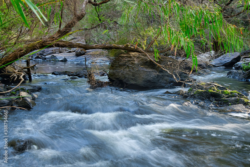 Flowing Creek