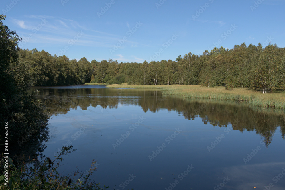 Fototapeta premium Der Moorweiher (Stausee) im Roten Moor in der Rhön 