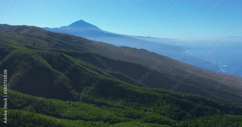 Aerial view. Dense pine tree forest on Tenerife on the background of the volcano Teide. Aerial view. Dense pine tree forest on Tenerife on the background of the volcano Teide.
