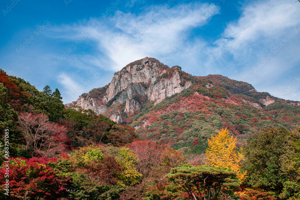 Fototapeta premium 가을에 물든 산