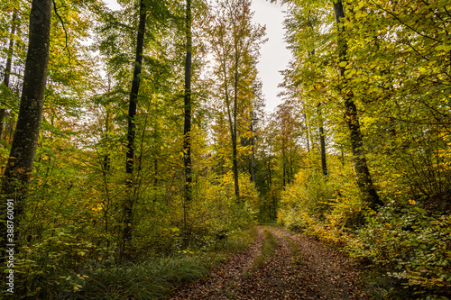 Fantastic autumn hike in the beautiful Danube valley near the Beuron monastery © mindscapephotos