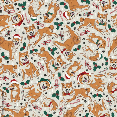 Vector beige shiba inu Christmas dogs multidirection seamless pattern with santa hats, holly and candy canes. Perfect for fabric, scrapbooking and wallpaper projects.