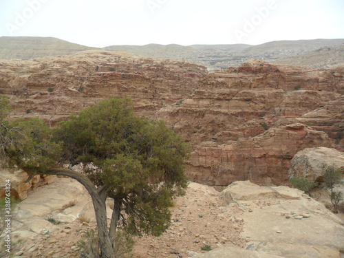 Hiking in the red sand dunes and cliffs of Wadi Rum and Petra archeological site in Jordan, Middle East photo