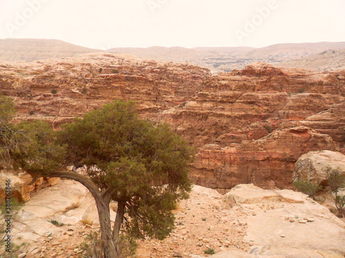 Hiking in the red sand dunes and cliffs of Wadi Rum and Petra archeological site in Jordan, Middle East photo