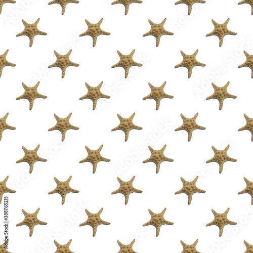 starfish repeating pattern for background