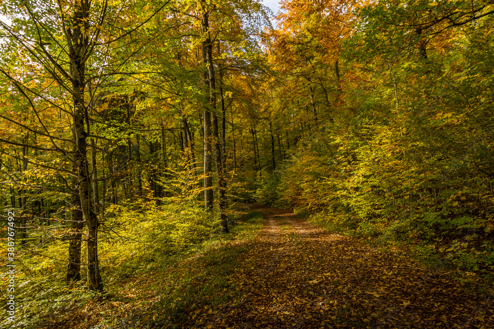 Fantastic autumn hike in the beautiful Danube valley near the Beuron monastery Fantastic autumn hike in the beautiful Danube valley near the Beuron monastery