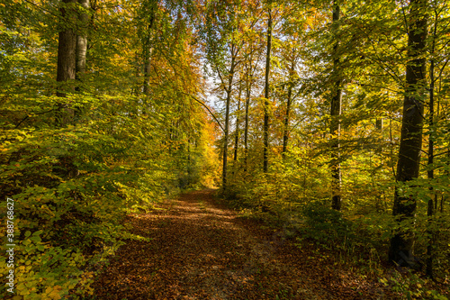 Fantastic autumn hike in the beautiful Danube valley near the Beuron monastery © mindscapephotos