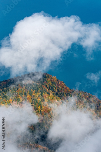 wonderful autumn forest at Lake Geneva with clouds