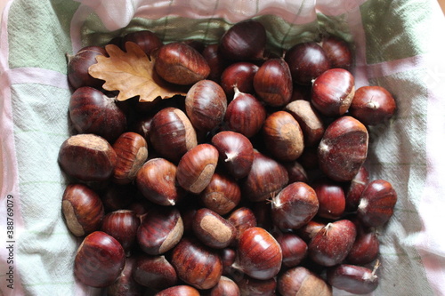 paniere di castagne