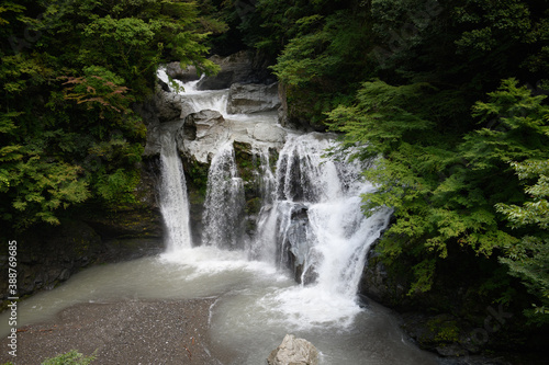 Fototapeta Naklejka Na Ścianę i Meble -  徳島県大轟の滝