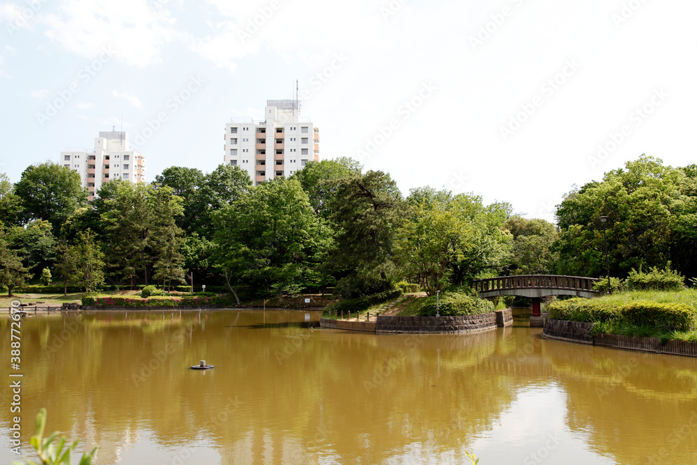 豊ヶ丘南公園 豊ヶ丘南公園