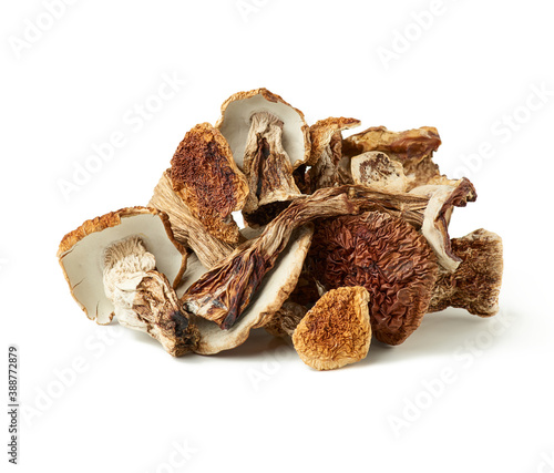 dry forest porcini mushrooms isolated on white background