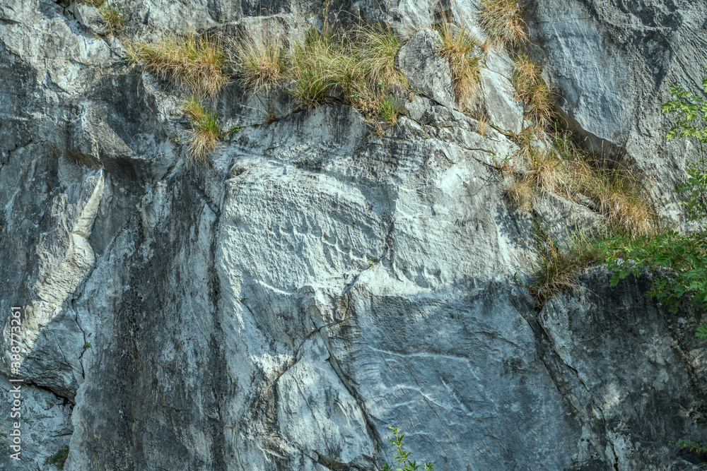 Fototapeta premium vegetation and traces of ancient work on vertical surface at historical marble quarry, Carrara, Italy