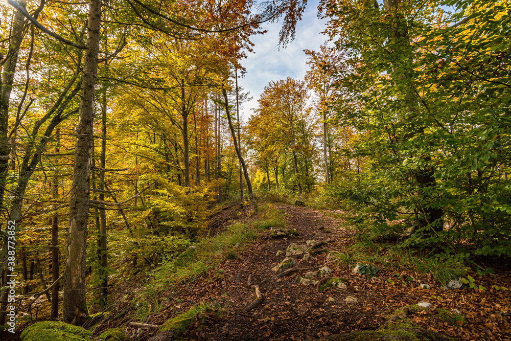 Fantastic autumn hike in the beautiful Danube valley near the Beuron monastery