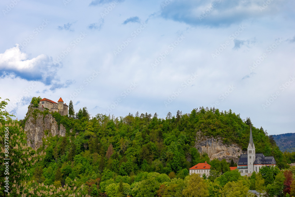 Slovenia, Bled Castle surrounded by green spring forest