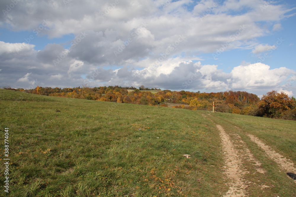 Naklejka premium herbst