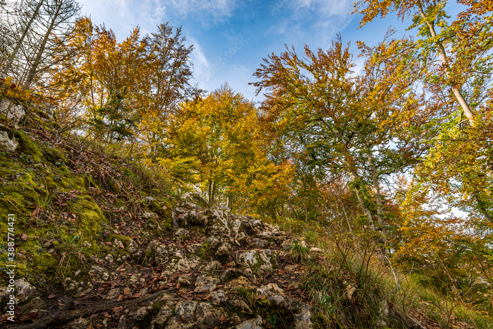 Fantastic autumn hike in the beautiful Danube valley near the Beuron monastery Fantastic autumn hike in the beautiful Danube valley near the Beuron monastery
