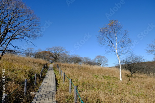 自然の中にある歩道