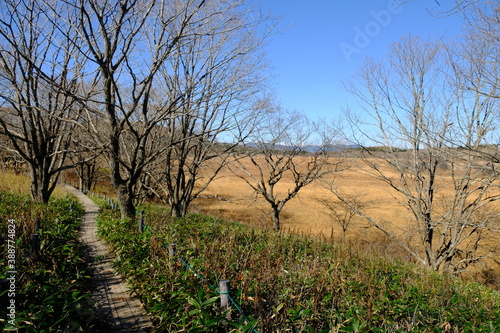 自然の中にある歩道