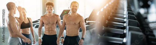 Tablou pe pânză Athletes are physically fit because they work out at the gym