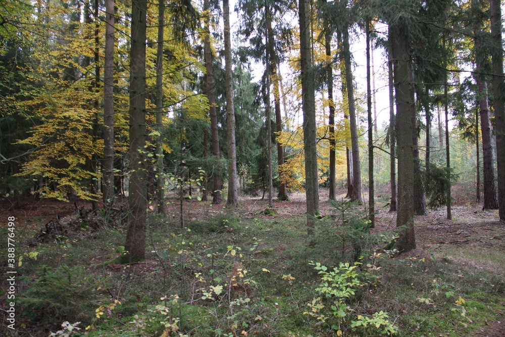 herbst herbst