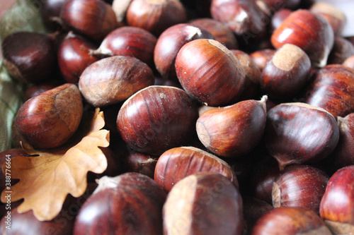 castagne