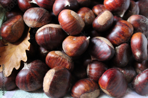 castagne