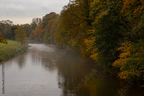 Warm golden colours in autumn on the bank of the river ribble in Clitheroe. Colourful autumn leaves in fall season