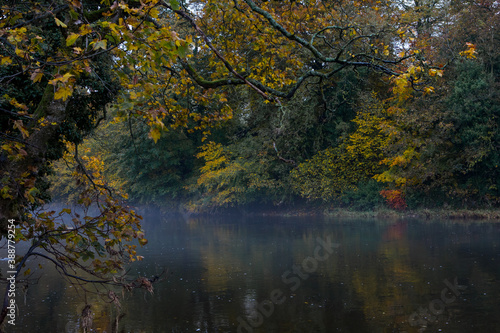 Warm golden colours in autumn on the bank of the river ribble in Clitheroe. Colourful autumn leaves in fall season