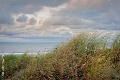 Image of the Katwijk beach and dunes  Netherlands
