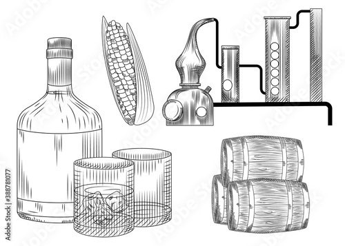 Set of bourbon. Glass and bottle, corn, barrel, alembic, ice. Engraving vintage style.