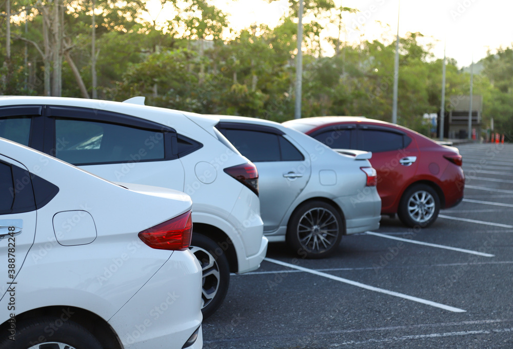 Closeup of rear or back side of white car and other cars parking in parking lot in twilight evening. 