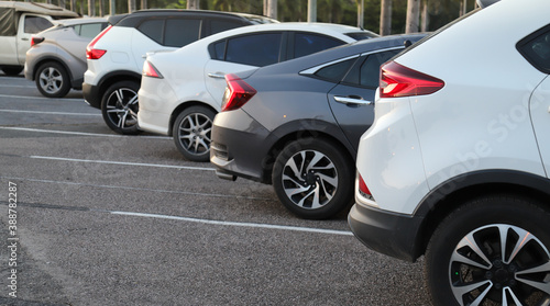 Closeup of rear or back side of white car and other cars parking in parking lot in the evening. 