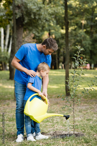 father and son watering young tree planted in park, ecology concept