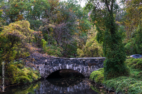 An old stone bridge in deep forest landscape in fall season. Reflection of the bridge in calm water with leaves
