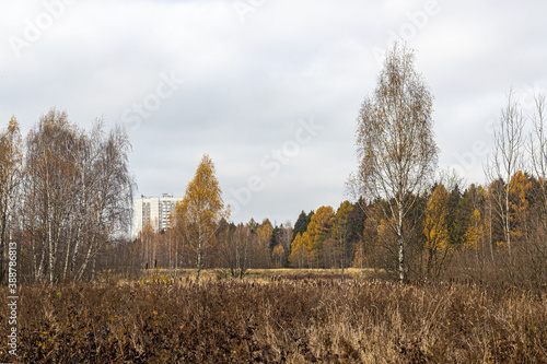 Autumn landscape on the outskirts of the city