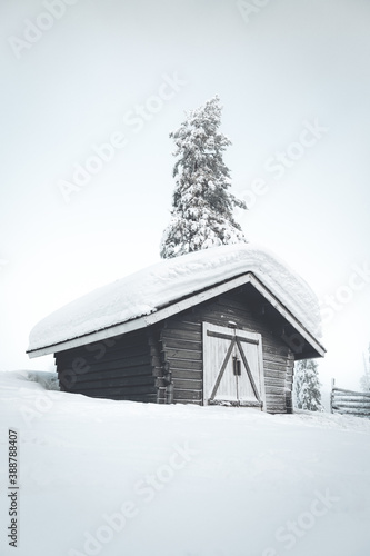 Fotografie, Tablou Cabin hut in the snow