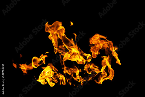 Fire flames on black background isolated. Burning gas or gasoline burns with fire and flames. Flaming burning sparks close-up, fire patterns. Infernal glow of fire in the dark with copy-space