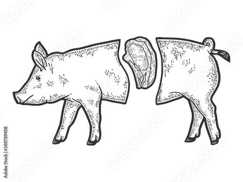 Showcase of the meat department. Pig carcass split, steak. Engraving vector illustration.