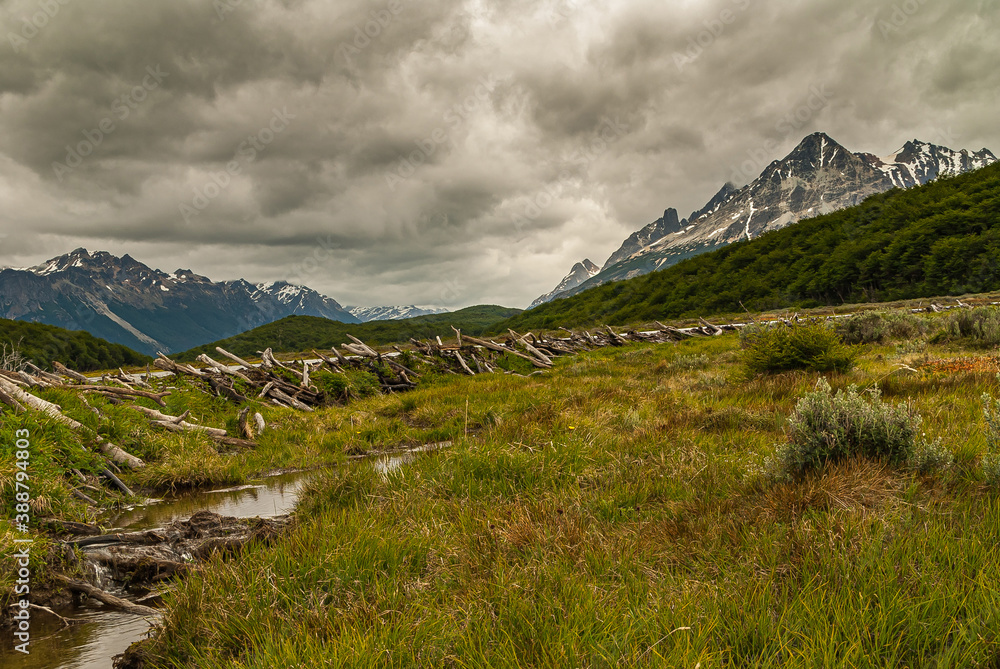 Obraz premium Ushuaia, Tierra del Fuego, Argentina - December 13, 2008: Martial Mountains in Nature Reserve. Landscape with long dam, brook in grassland, snowy mountains in back under gray cloudscape.