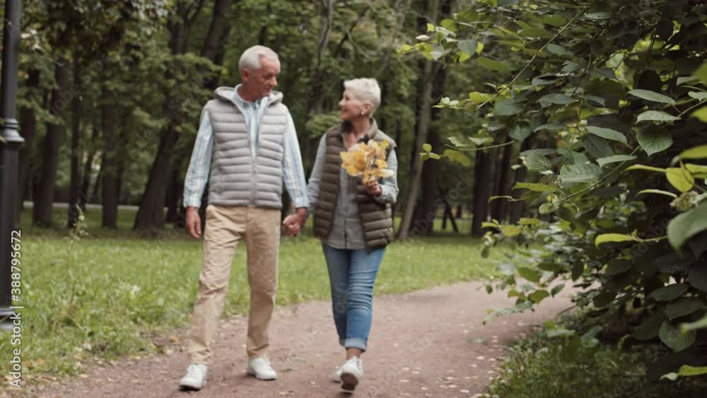 Racking focus full shot of senior Caucasian married couple walking holding hands in park, woman having bunch of yellow oak leaves in hand, man talking to his wife smiling Racking focus full shot of senior Caucasian married couple walking holding hands in park, woman having bunch of yellow oak leaves in hand, man talking to his wife smiling