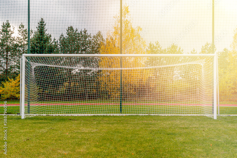 Fototapeta premium Gate on a soccer field