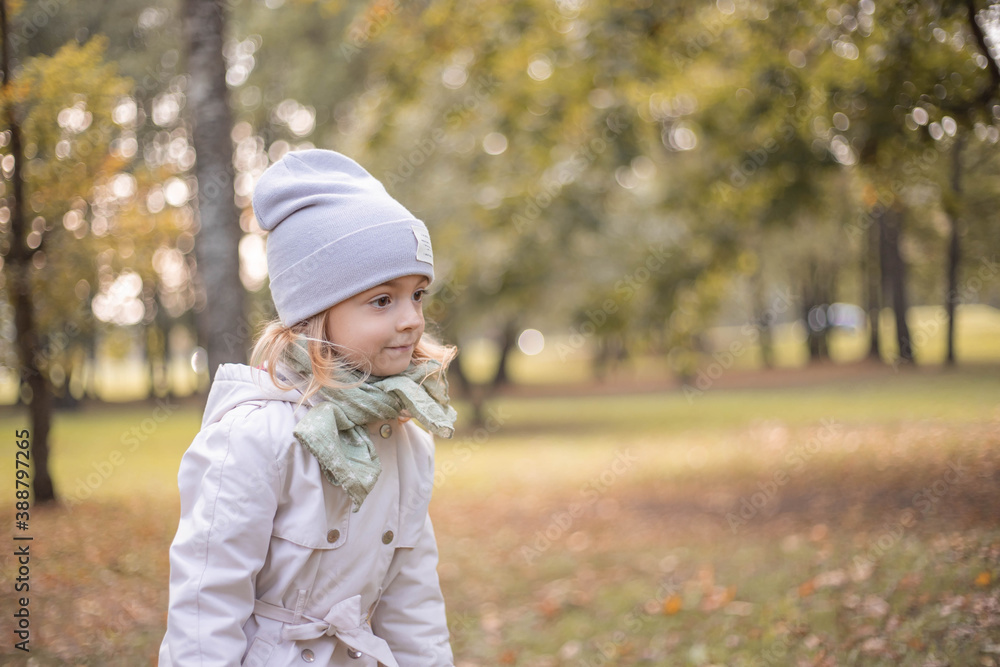 Little girl walking in autumn park. Little girl walking in autumn park.