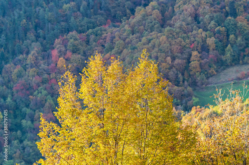 Fototapeta Naklejka Na Ścianę i Meble -  The spectacular colors of autumn