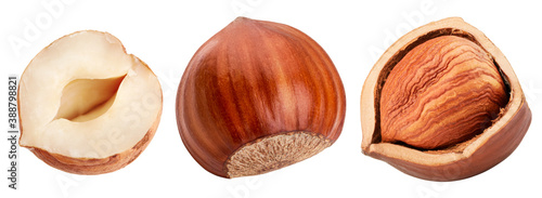 Set of hazelnuts isolated on white background