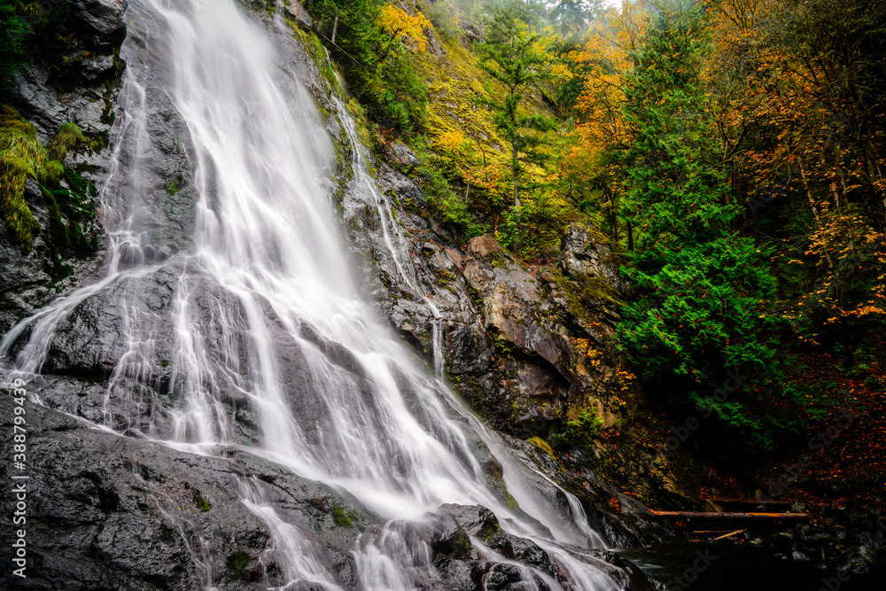 Fototapeta premium Rocky Brook Falls - Brinnon Washington