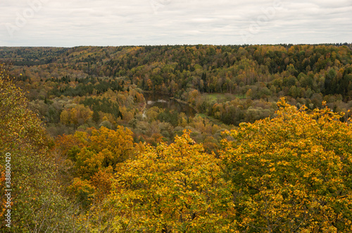 Fototapeta Naklejka Na Ścianę i Meble -  Autumn, trees painted by the river, forest