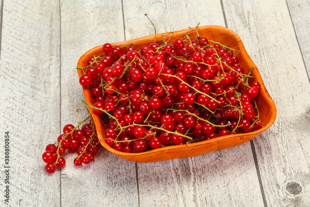 Sweet tasty fresh Red currant Sweet tasty fresh Red currant