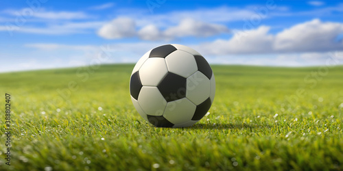 Soccer ball  football close up view  green grass field  blue sky background. 3d illustration.