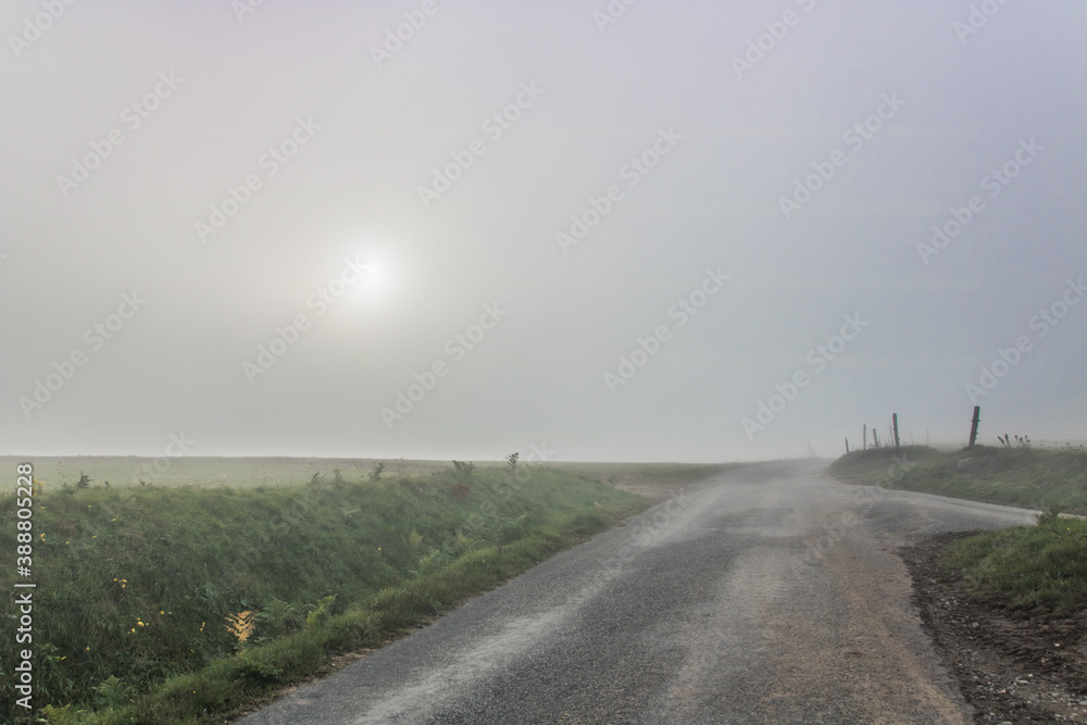 paysage de campagne dans la brume, dans le brouillard